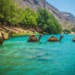 Oman Salalah Tour Package