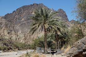 Wadi Bani Awf