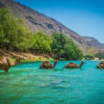 Traveling Advice for Oman